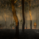 Australian bushfires