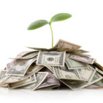 ‘Seeding’ success A green shoot emerging from a pile of dollars