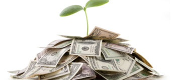 A green shoot emerging from a pile of dollars