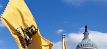 Image of a Gadsden flag waving in front of the White House.